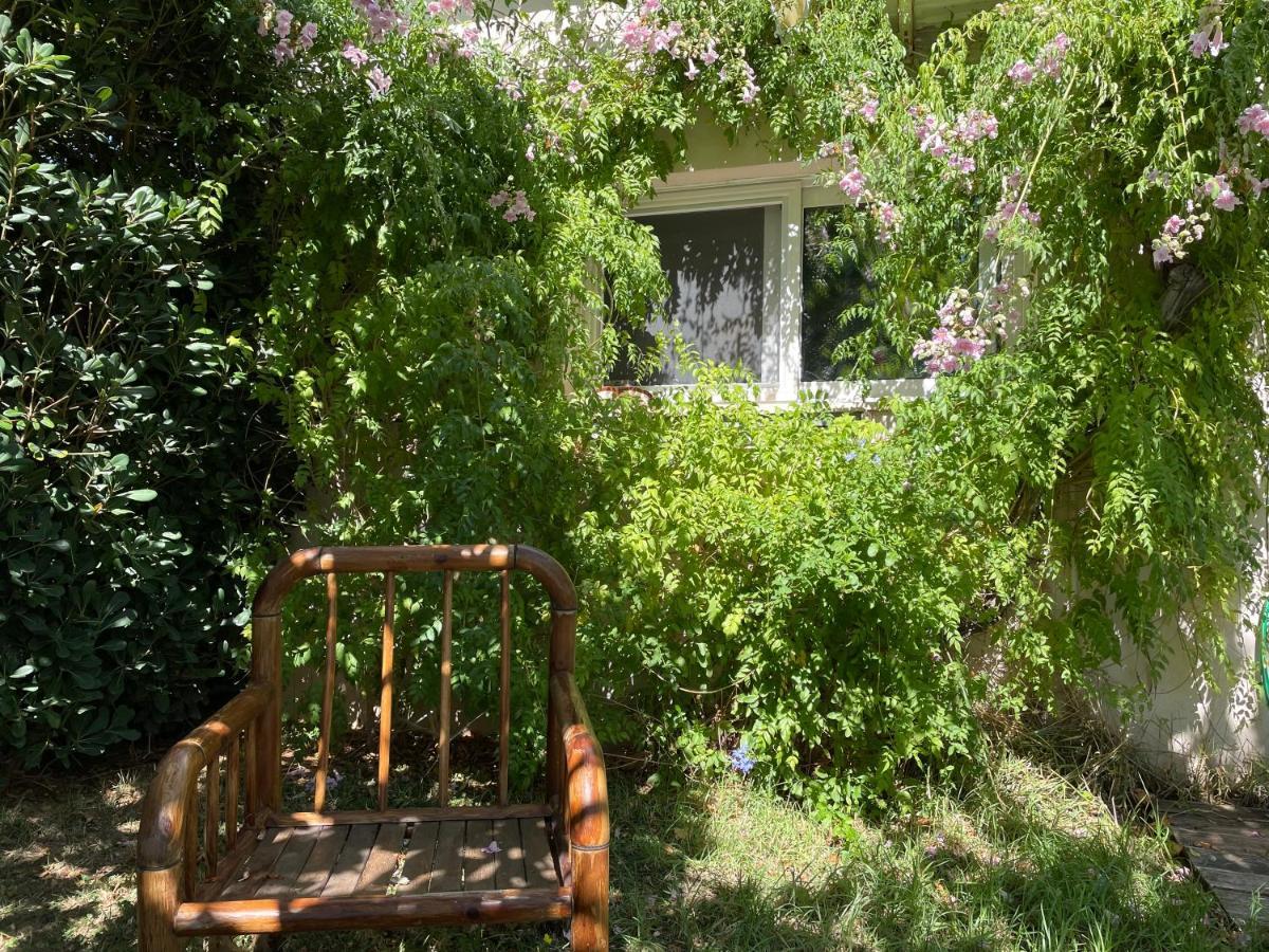 דירות Dhaskalion The Garden House מראה חיצוני תמונה